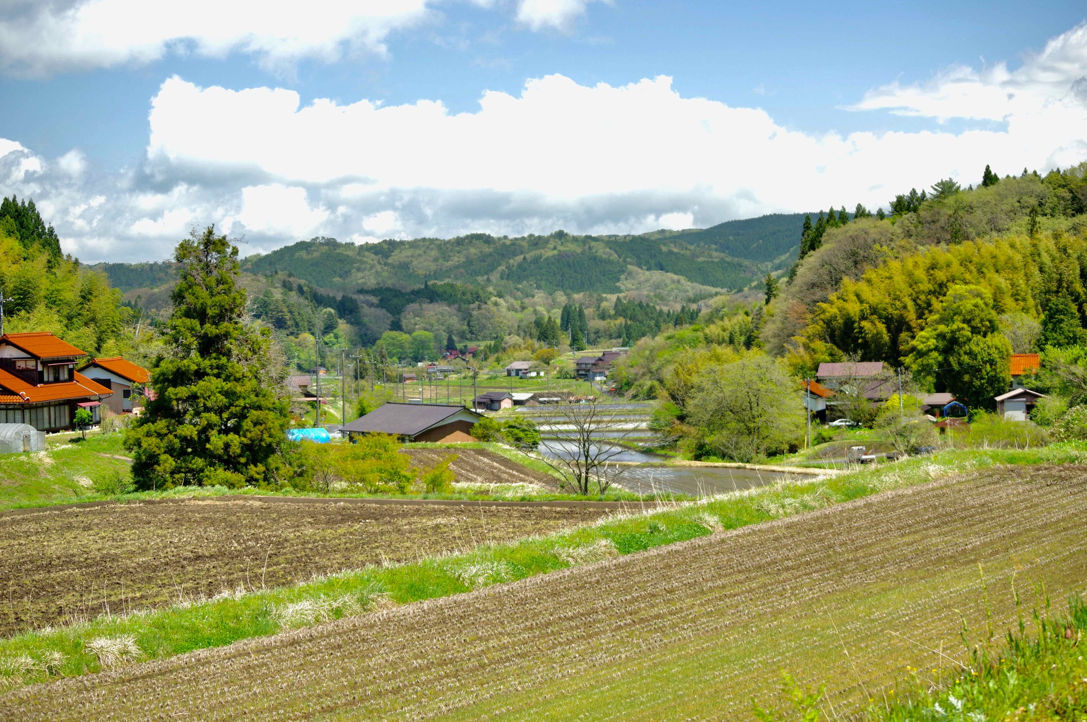 農村かさぎ　　新緑、真っ最中！　微妙な緑の差で、周囲の山一面が緑の綿で覆われています。　この、笠木の新緑を皆様にお裾分けいたします。　　　　　　　　　　　　　#pentax#農家ときどき写真家#農村 #農村かさぎ #写真家#田舎の風景#農業 #農家#集落営農 #笠木営農組合 #だんだん