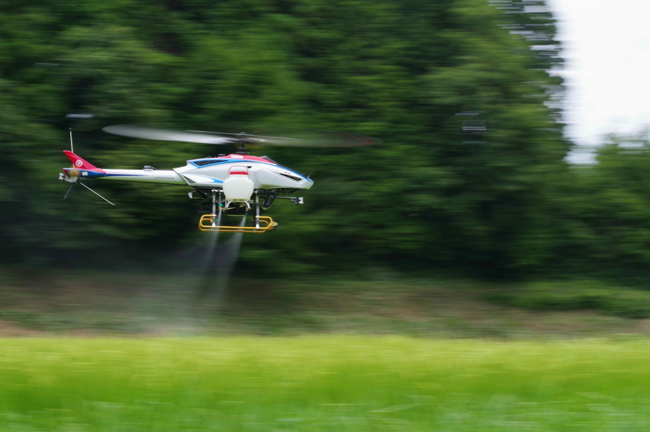 農村かさぎ　　コシヒカリのカメムシ専用防除をやりました。雨雲レーダーと睨みっこしながら20ha終わりました。明日は雨天で中止、残りは11日にやります。　　　　　　　笠木で一番早い田植えのコシヒカリ。色つき始めていました。　酷暑でしたが標高500mの笠木、『農村かさぎ』ブランドを裏切らない米質であることを確信して収穫したいです。　　　　　　　　　　　　　　　　　　#pentax#農家ときどき写真家#農村 #農村かさぎ #写真家#田舎の風景#農業 #農家#集落営農 #笠木営農組合 #だんだん