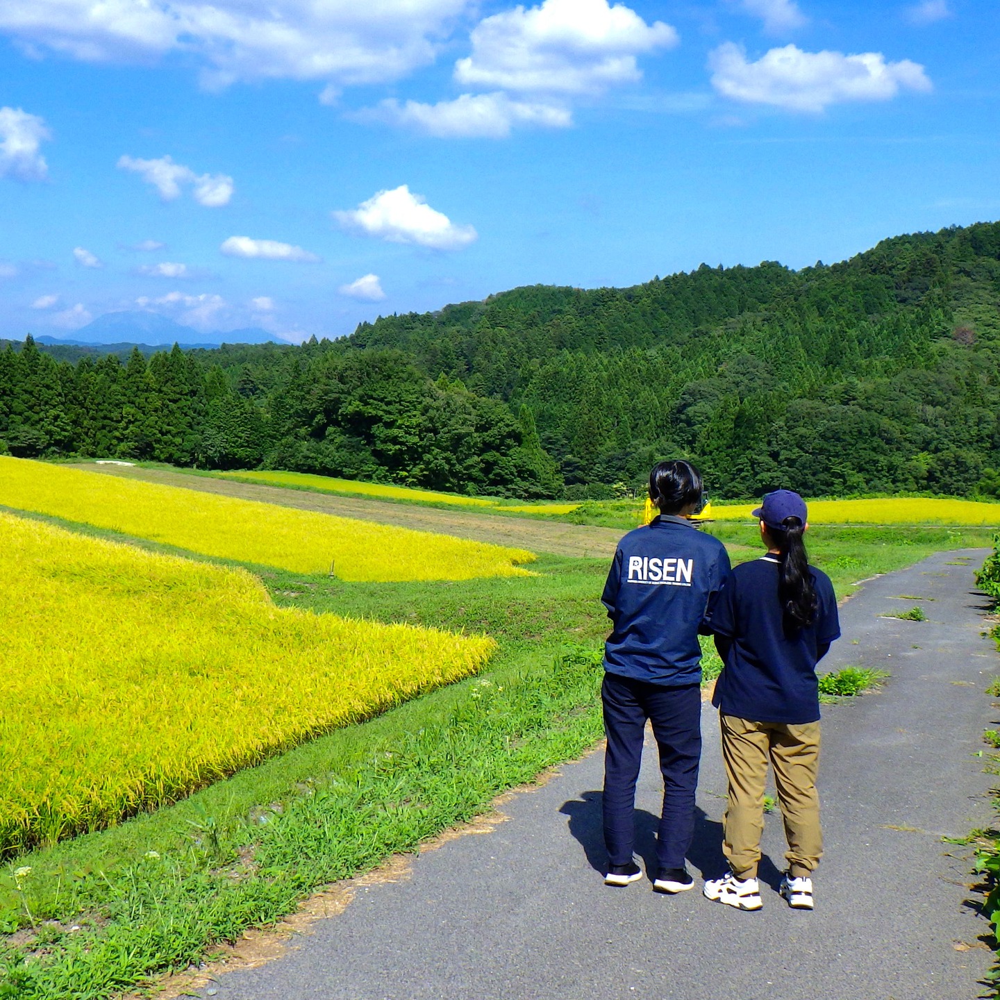 農村かさぎ　　新しい戦力に期待。　４日間のインターンシップが１名。　（有）だんだんに来ても良い・・・先ずは急がず現地を確かめてと、会社訪問してくれた方。　　　　集落営農の仕組、機械装備、作業体験、急峻な圃場畦畔等々観て、来春から来たいと意思表示があり、まさかの言葉に反応が遅れた。　　　　　　　　　　　　　　　　　#pentax#農家ときどき写真家#農村 #農村かさぎ #写真家#田舎の風景#農業 #農家#集落営農 #笠木営農組合 #だんだん