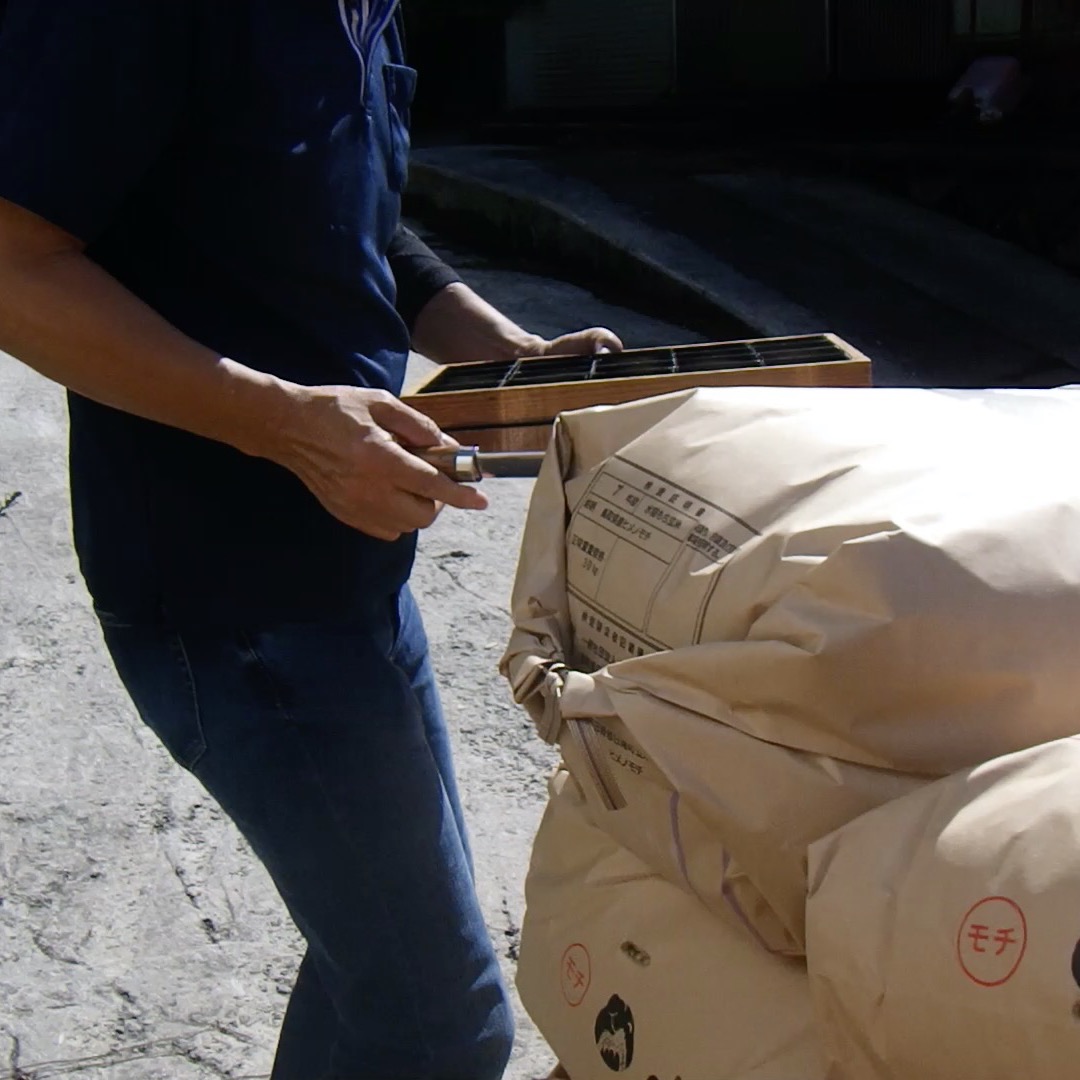 農村かさぎ　ヒメノモチの検査　７年産の初検査です。　例年、２等は何か訳ありの物が少し出るだけ。98％の1等比率ですが、今年は、水の有無（容難）で収量、品質共に明確に差が生じました。　　　　　　　　　　　嘗て経験のない１等米比率67％になりました。　　　　　　　　　　　　　　　　　　#pentax#農家ときどき写真家#農村 #農村かさぎ #写真家#田舎の風景#農業 #農家#集落営農 #笠木営農組合 #だんだん