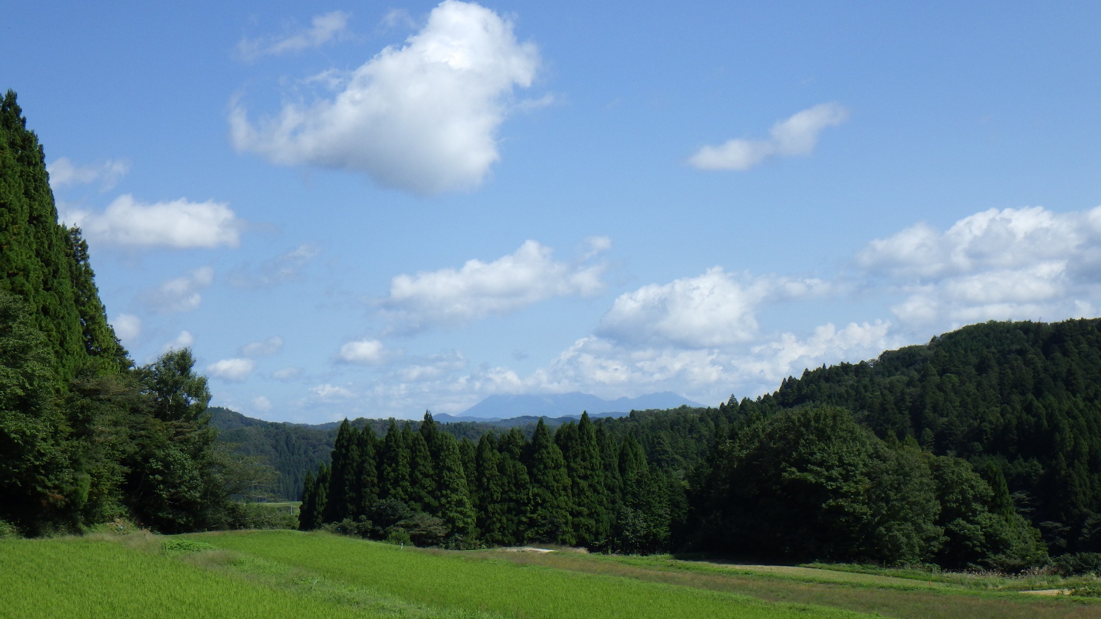農村かさぎ　　１日は久し振りの秋晴れ！　雨の心配をしない稲刈り・・・何日以来だろうか？　本当に気持ち良い稲刈り日和だが、長雨で軟弱圃場も増えてきて機械の掃除をしながらの作業になる。　　　　　　　　　　好天に浮かれて、笠木の定点撮影ポイントから秋空を撮る。　　　　　　　　　　　　　#pentax#農家ときどき写真家#農村 #農村かさぎ #写真家#田舎の風景#農業 #農家#集落営農 #笠木営農組合 #だんだん
