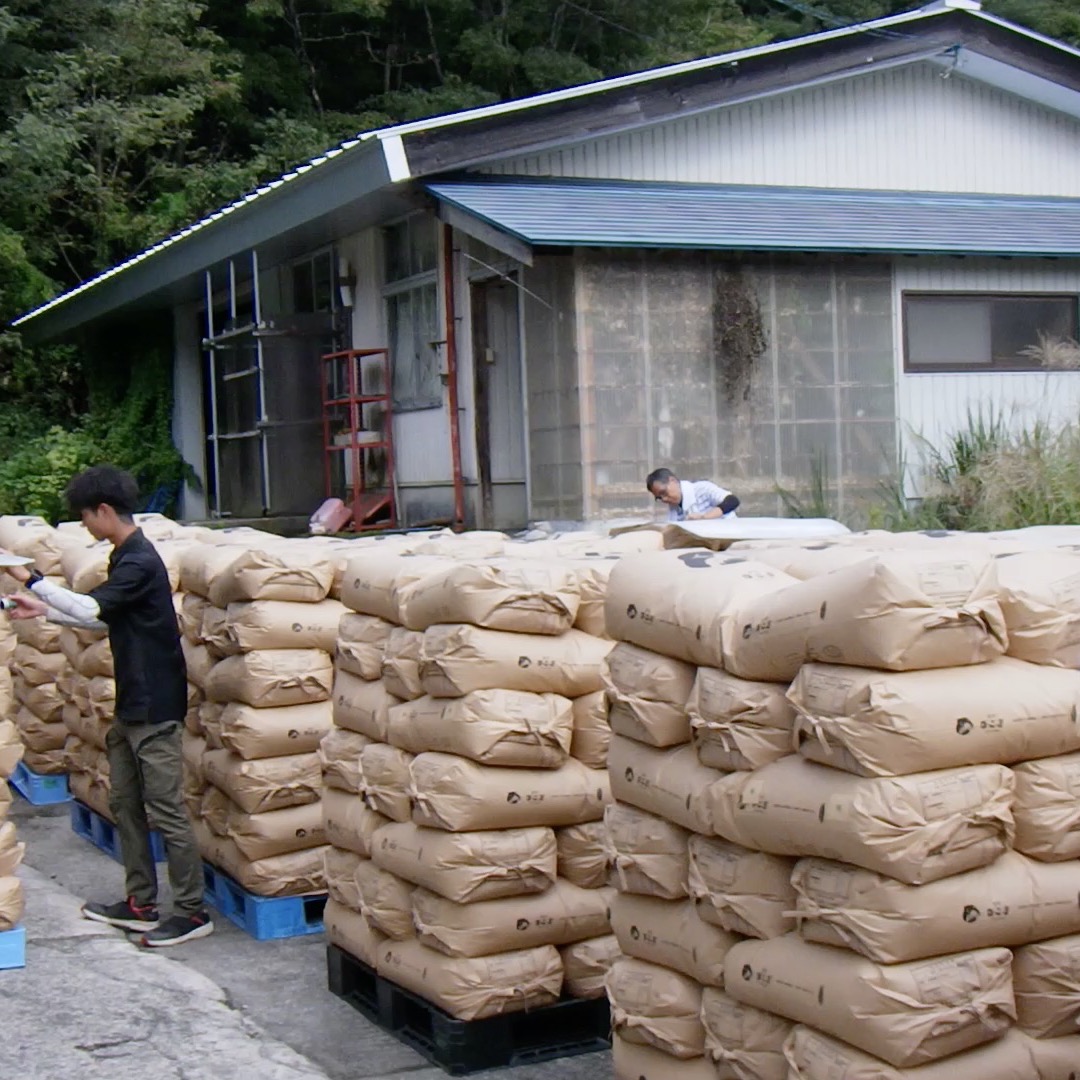 農村かさぎ　　検査進行状況　初日、モチ米の１等比率が６５％でガックリ来ましたが、コシヒカリでは持ち直して１等比率９３％です。　30日の検査は全量１等でした。　　　30日は半分は消費者直販用です。これから精米して発送の段取りをしますので、もう少しお待ちください。　　　　　　　　　　　　#pentax#農家ときどき写真家#農村 #農村かさぎ #写真家#田舎の風景#農業 #農家#集落営農 #笠木営農組合 #だんだん