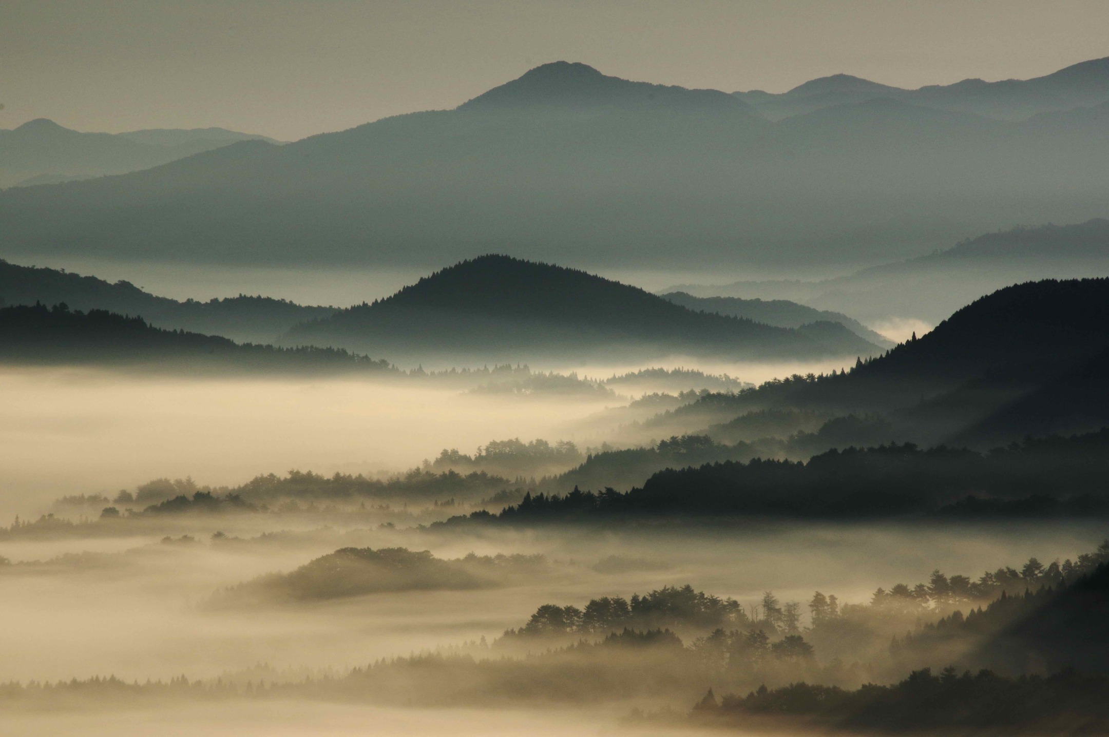 農村かさぎ　　雲海の季節となりました。　笠木のシンボル『大正山』中腹からの雲海です。　　　　　　　　　　　　　　　　　　この雲海の下に「農村かさぎ」があります。霧のシーズンに入る頃に稲刈りが始まります。午前中は露で作業が出来なく、1日の作業時間が短いですが、これも良食味（味度値８０後半）の一要素です。　　　　　　　　　#pentax#農家ときどき写真家#農村 #農村かさぎ #写真家#田舎の風景#農業 #農家#集落営農 #笠木営農組合 #だんだん