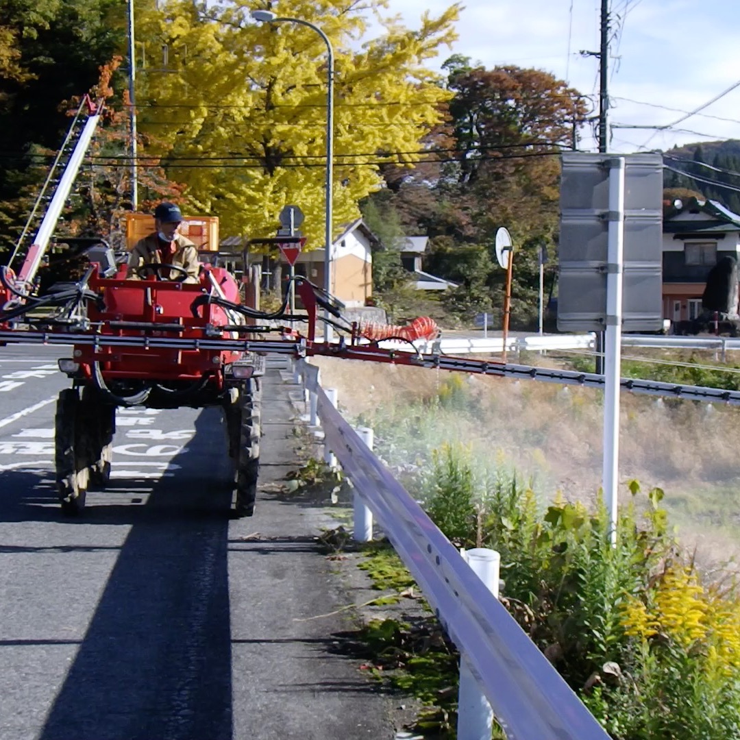 農村かさぎ　　セイタカアワダチソウ駆除　アワダチソウの侵入を必死で食い止めています。　集落作業として各自、畦畔の抜き取り。　密集した場所はグリホサートを散布して回ります。　　他所の集落に比較すればグッと少ないですが、それでも毎年イタチごっこです。　　　　　　　　　　　　　　　　#pentax#農家ときどき写真家#農村 #農村かさぎ #写真家#田舎の風景#農業 #農家#集落営農 #笠木営農組合 #だんだん