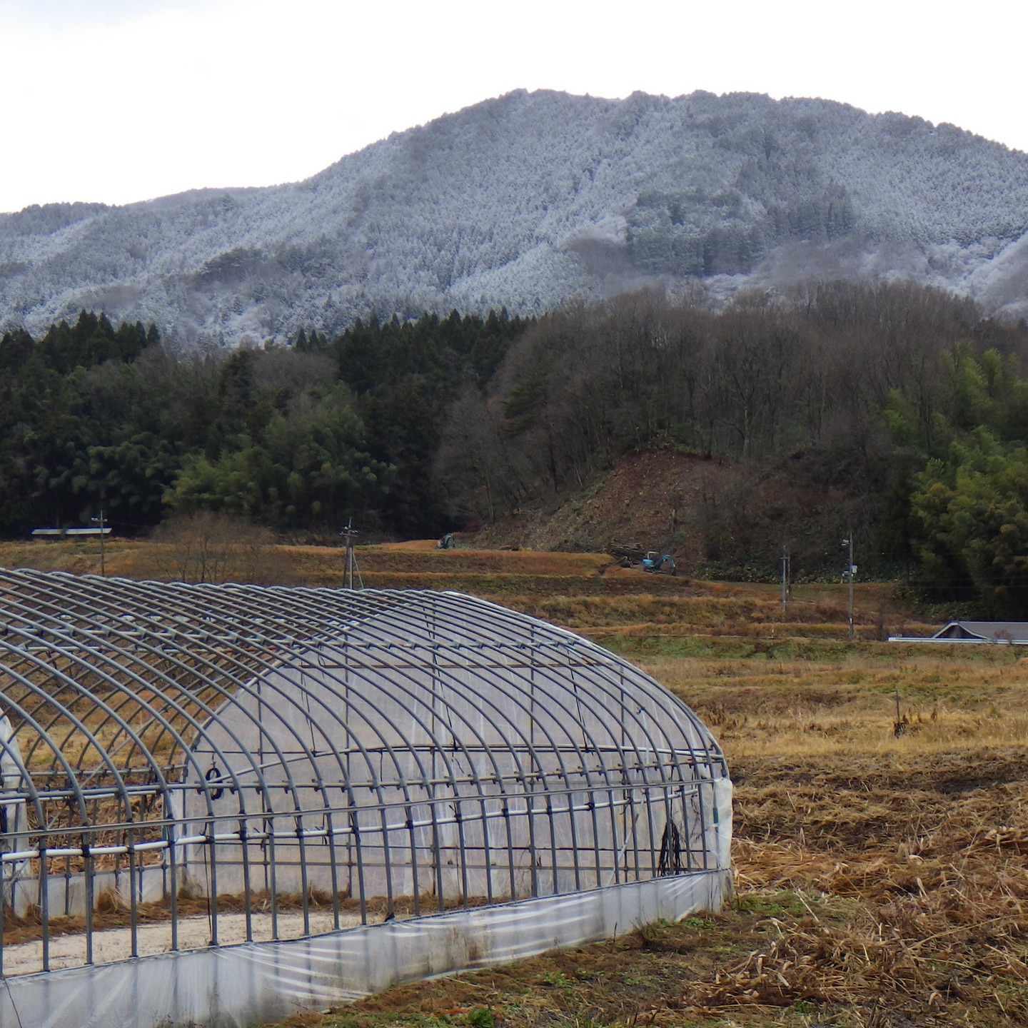 農村かさぎ　雪の足音。　既に１度は下まで降りましたが、12日の朝もだいぶ下まで白くなりました。　　　　　　　　　　　　　　雪のせいで、大正の植林もかなりハッキリ見えました。　　　　　　　　　　　　　　　除雪機の装着も終わりましたので、『いつでも来い』の体制です。　　　　　　　　　　#pentax#農家ときどき写真家#農村 #農村かさぎ #写真家#田舎の風景#農業 #農家#集落営農 #笠木営農組合 #だんだん
