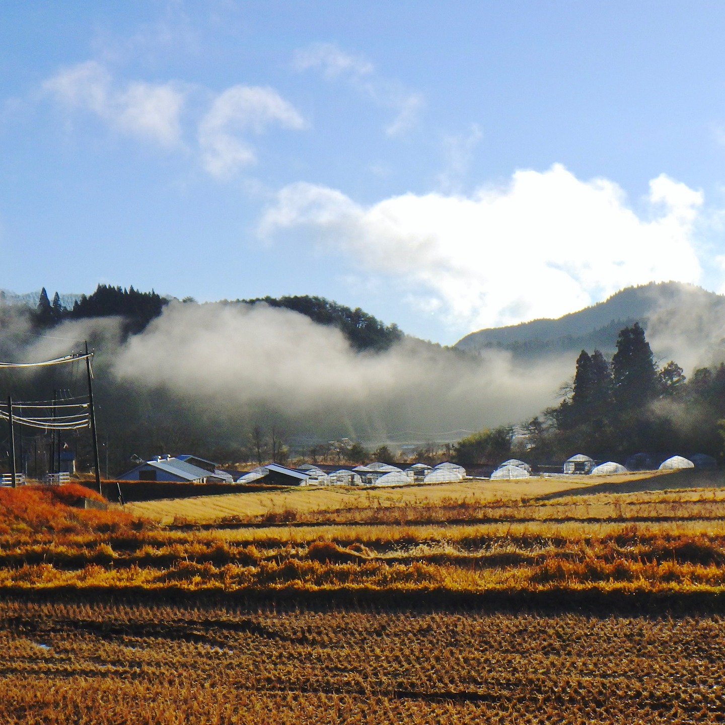 農村かさぎ　　18日の朝。霜溶けの蒸気の流れと、（有）だんだん付近の風景。　　　　天気良い日はさむいね〜。　　　　　　　　#pentax#農家ときどき写真家#農村 #農村かさぎ #写真家#田舎の風景#農業 #農家#集落営農 #笠木営農組合 #だんだん