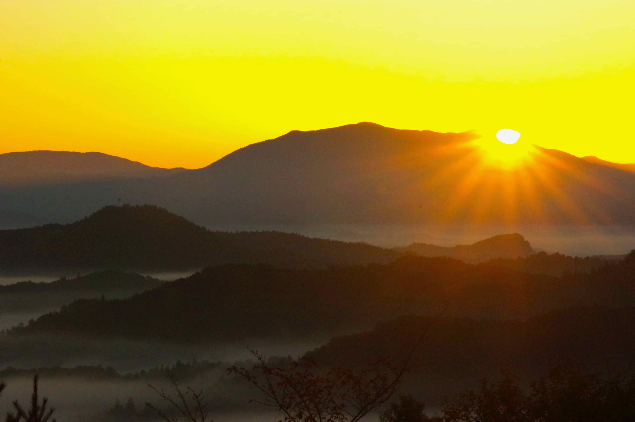 農村かさぎ　　明けましておめでとうございます。　米作りに携わる農業者の安定と、米価に対する理解が進むことを願います。　　かさぎのシンボル大正山（正式名　大草山）から見る日の出です。　　　　　　　　　　今年も宜しくお願いします。　　　　　　　#pentax#農家ときどき写真家#農村 #農村かさぎ #写真家#田舎の風景#農業 #農家#集落営農 #笠木営農組合 #だんだん
