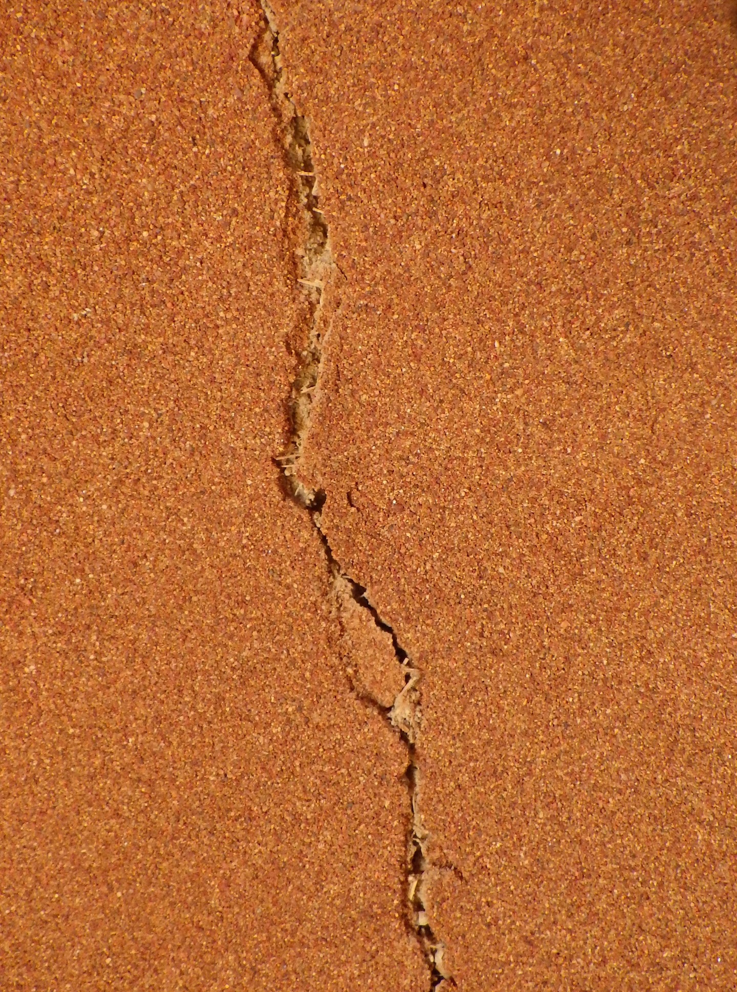 農村かさぎ 地震お見舞い 先日の震度5強の地震、被災された方々には心よりお見舞い申し上げます。 平成12年の鳥取西部地震の体験があるので案外冷静ではありました。 幸い、一社)笠木営農組合、(有)だんだん、 我が家ともに大した被害は無くホッとしたところであります。 写真は我が家の壁の亀裂と食器棚のコップの被害状況ですが、これだけで終わった事は幸いでした。 #pentax#農家ときどき写真家#農村 #農村かさぎ #写真家#田舎の風景#農業 #農家#集落営農 #笠木営農組合 #だんだん