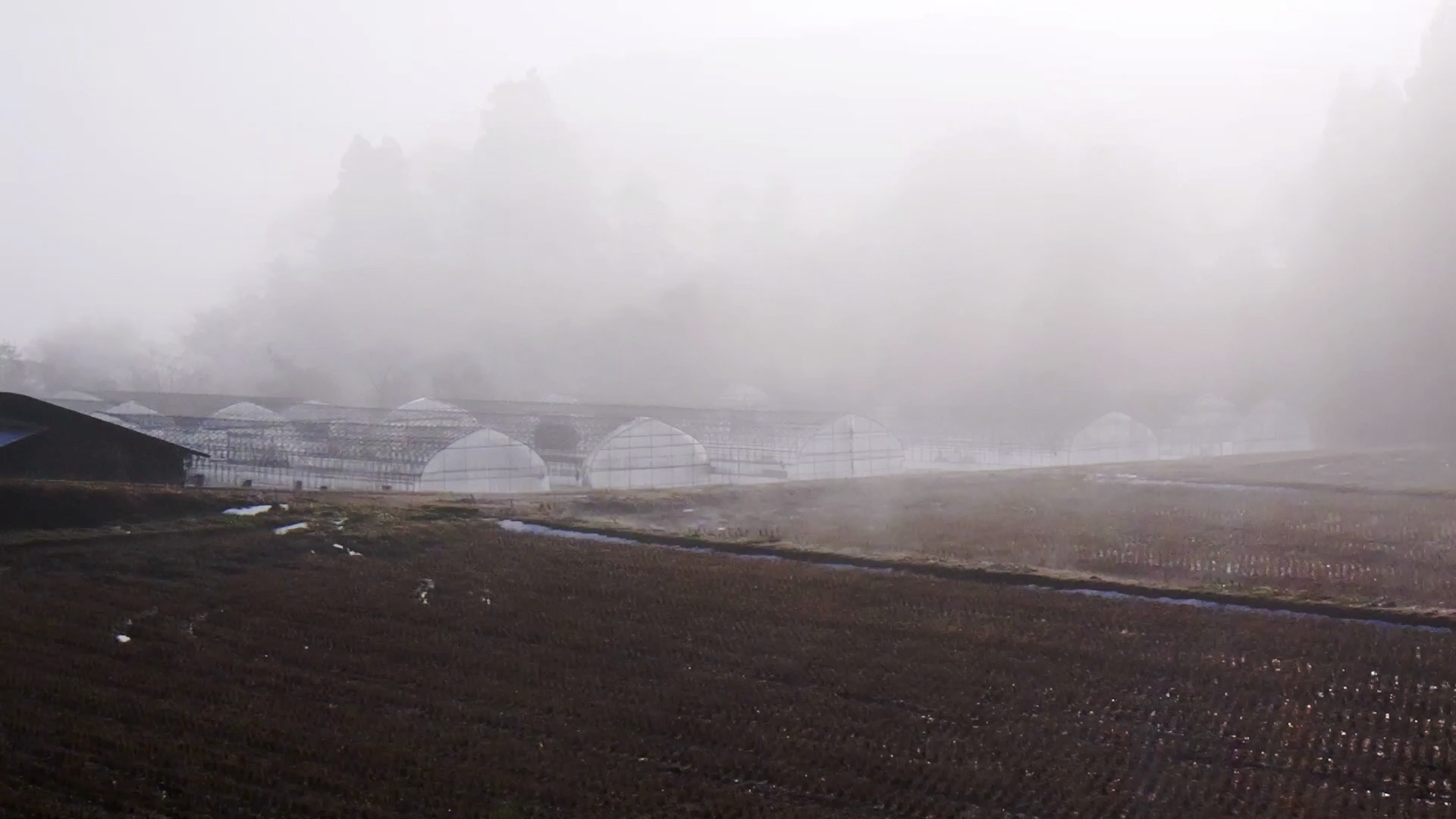 農村かさぎ　雪溶けのもや　　どんど祭りに積もった雪も天気が良くて消えてゆきます。在るべき時に在るもの（雪）が無いと春からの水や、偏った異常気象など　先が心配になって来ます・・・・・。　　　　　　　　　#pentax#農家ときどき写真家#農村 #農村かさぎ #写真家#田舎の風景#農業 #農家#集落営農 #笠木営農組合 #だんだん
